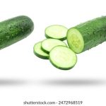 packet 8 login:轻松解决Packet 8登录问题的完整指南与技巧 3gedq3