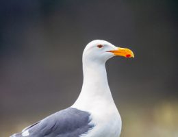 j592o0a3i