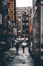 ws5a6s4