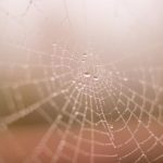 探索宇宙的奥秘:从星系到黑洞的奇妙旅程 z0rmvl